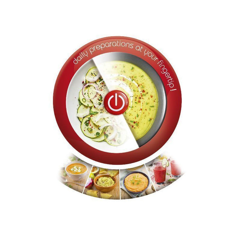 Mixeur 450w 2vit Turbo Pied Metal Detachable   - Dd451110 Moulinex