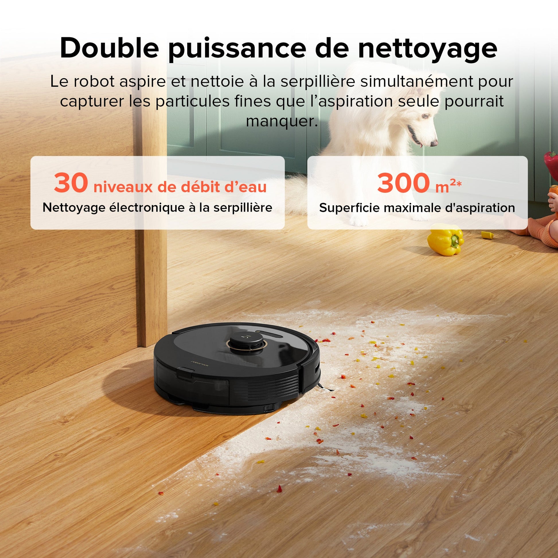 Roborock Q8 Max robot aspirateur